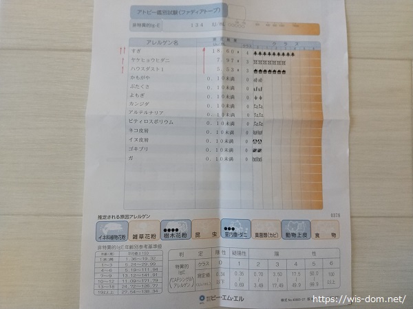 アレルギー検査の結果