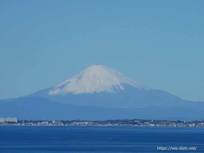 金谷城から見た富士山